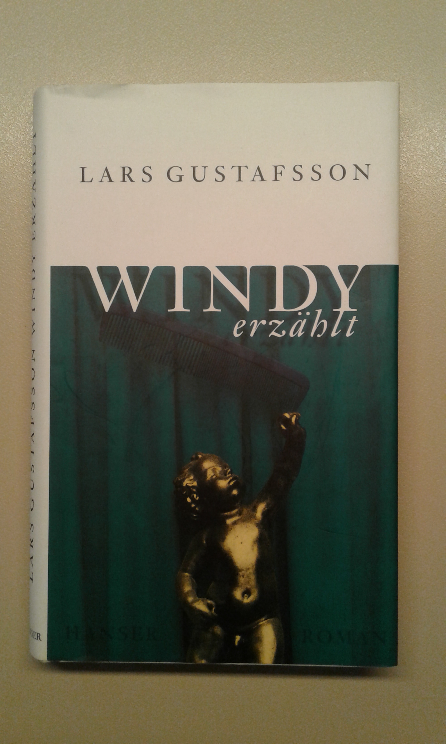 Gustafsson, Windy erzählt.