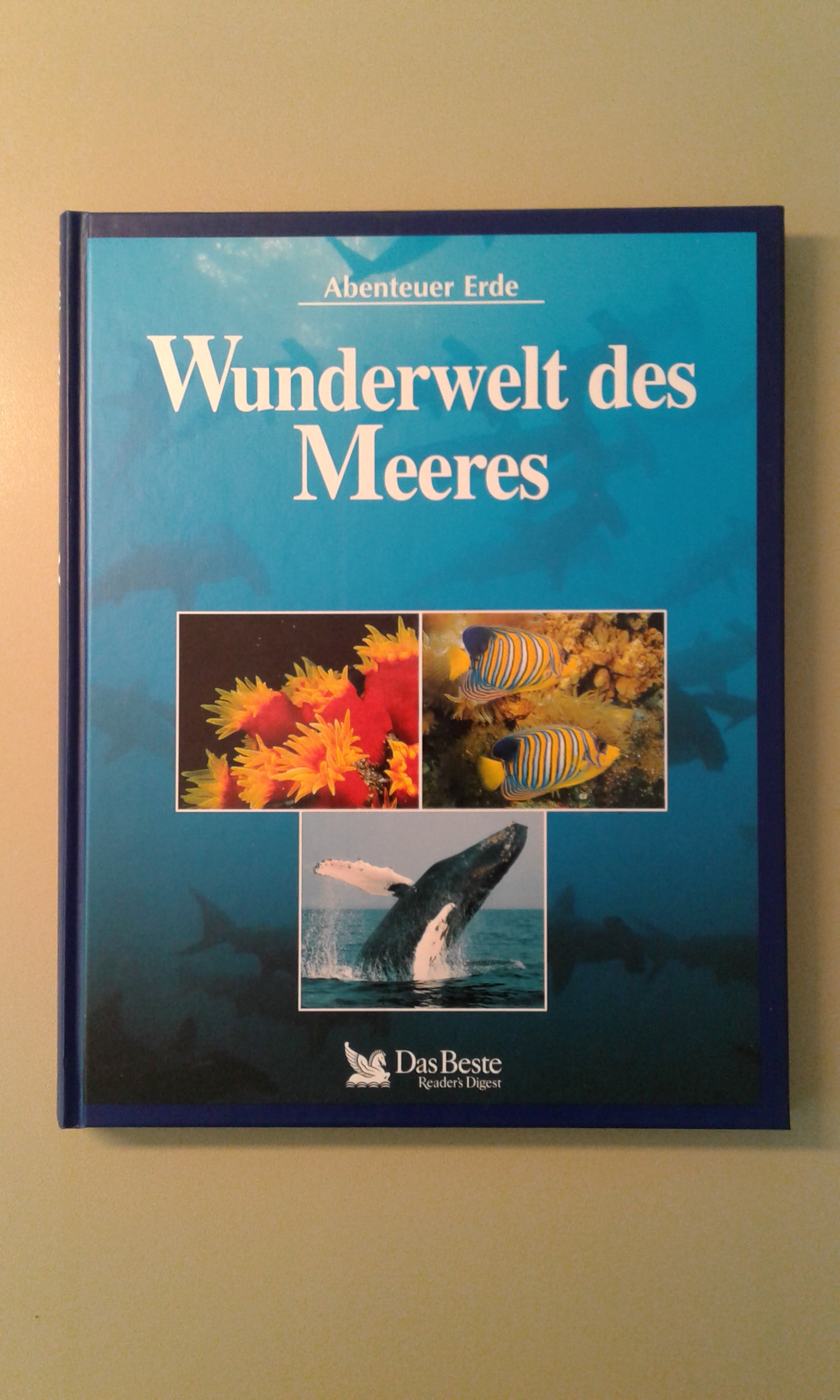 Wunderwelt des Meeres.