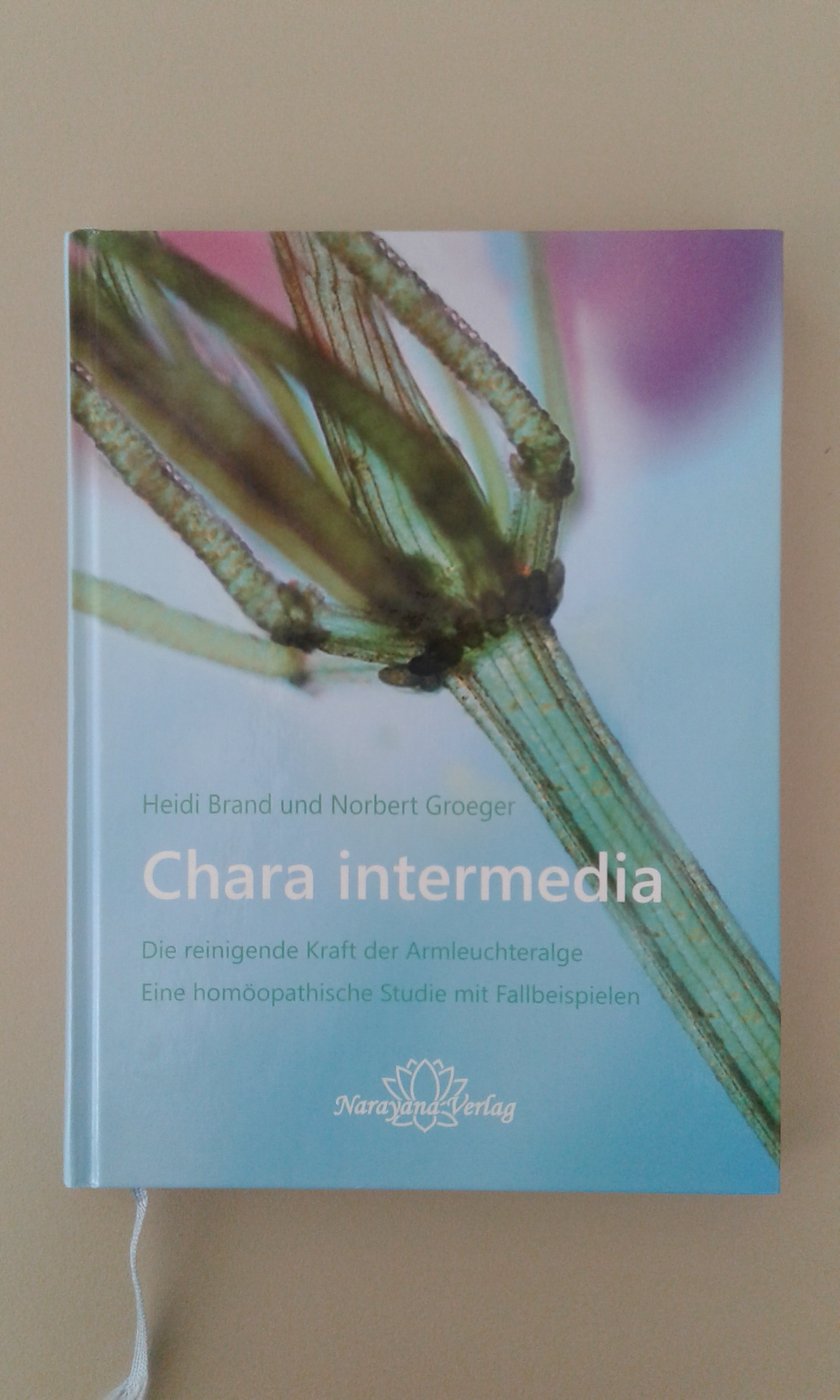 Neugebauer, Chara intermedia.