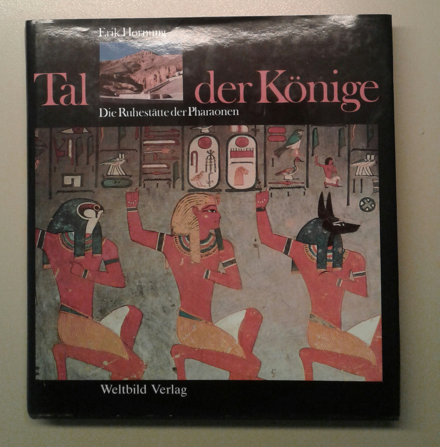 Hornung, Tal der Könige.