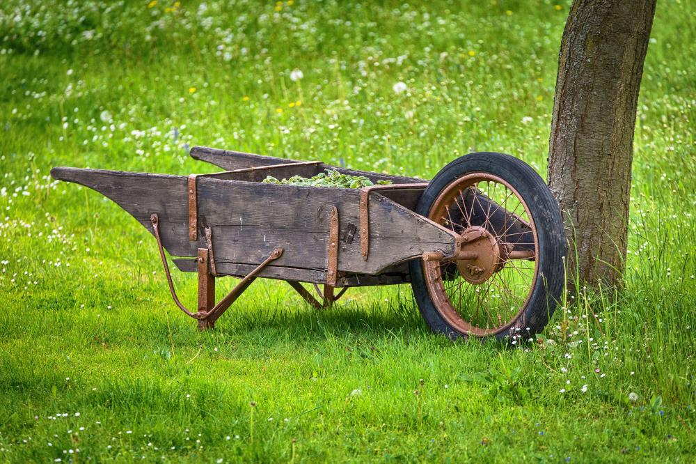 Garten und Gartenbau